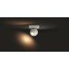 Philips Hue Buckram Plafondlamp LED Wit, 1-licht, Afstandsbediening