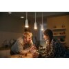 Philips Hue Devote Hanglamp LED Wit, 1-licht
