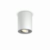 Philips Hue Pillar Plafondlamp LED Wit, 1-licht