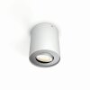 Philips Hue Pillar Plafondlamp LED Wit, 1-licht