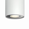 Philips Hue Pillar Plafondlamp LED Wit, 1-licht