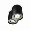 Philips Hue Pillar Plafondlamp LED Zwart, 2-lichts, Afstandsbediening