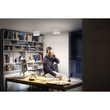 Philips Hue Pillar Plafondlamp LED Wit, 2-lichts, Afstandsbediening