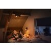 Philips Hue Runner Plafondlamp LED Zwart, 2-lichts, Afstandsbediening