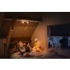 Philips Hue Runner Plafondlamp LED Wit, 2-lichts, Afstandsbediening