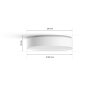 Philips Hue Enrave Plafondlamp LED Wit, 1-licht, Afstandsbediening