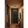 Philips Hue Enrave Plafondlamp LED Zwart, 1-licht, Afstandsbediening