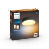 Philips Hue Enrave Plafondlamp LED Zwart, 1-licht, Afstandsbediening