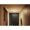 Philips Hue Enrave Plafondlamp LED Wit, 1-licht, Afstandsbediening