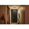 Philips Hue Enrave Plafondlamp LED Zwart, 1-licht, Afstandsbediening