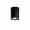 Philips Hue Pillar Plafondlamp LED Zwart, 1-licht