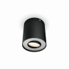Philips Hue Pillar Plafondlamp LED Zwart, 1-licht