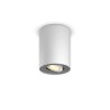 Philips Hue Pillar Plafondlamp LED Wit, 1-licht, Afstandsbediening