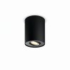 Philips Hue Pillar Plafondlamp LED Zwart, 1-licht, Afstandsbediening
