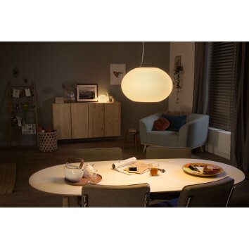 Philips Hue Flourish Hanglamp LED Wit, 1-licht, Kleurwisselaar