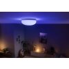 Philips Hue Flourish Plafondlamp LED Wit, 1-licht, Kleurwisselaar