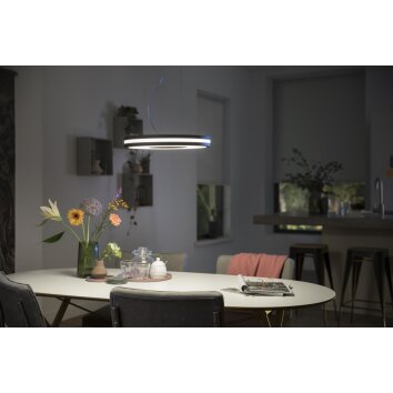 Philips Hue Being Hanglamp LED Zwart, 1-licht, Afstandsbediening