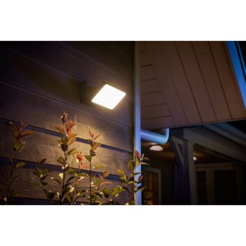 Philips Hue White Welcome Buiten muurverlichting LED Zwart, 1-licht