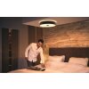 Philips Hue Fair Plafondlamp Zwart, 1-licht, Afstandsbediening