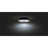 Philips Hue Fair Plafondlamp LED Zwart, 1-licht, Afstandsbediening