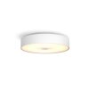 Philips Hue Fair Plafondlamp LED Wit, 1-licht, Afstandsbediening