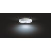 Philips Hue Fair Plafondlamp LED Wit, 1-licht, Afstandsbediening
