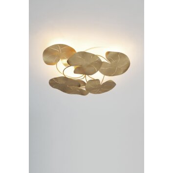 Holländer CONTROVERSIA Plafondlamp LED Goud, 6-lichts