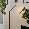 Huallilemu Staande lamp LED Antraciet, 1-licht