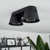 Especiosa Plafondlamp Zwart, 2-lichts