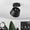 Especiosa Plafondlamp Zwart, 1-licht