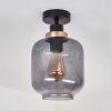 Curveira Plafondlamp Brons, Zwart, 1-licht