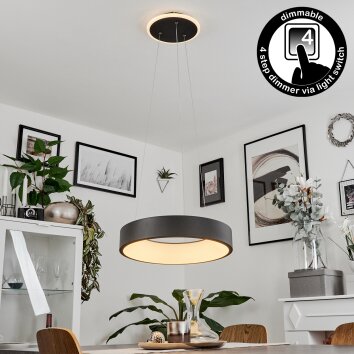 Areja Hanger LED Zwart, Wit, 1-licht