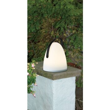 Eglo COLLIRADOS Tafellamp voor buiten LED Zwart, 2-lichts