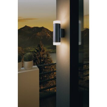 Eglo RIGA-LED Buiten muurverlichting Zwart, 2-lichts