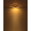 Globo LUFFY Plafondlamp LED Goud, Zwart, 1-licht