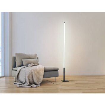 Eglo PICACHA Staande lamp LED Zwart, 1-licht, Afstandsbediening