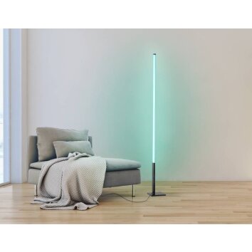 Eglo PICACHA Staande lamp LED Zwart, 1-licht, Afstandsbediening, Kleurwisselaar