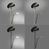 Paul Neuhaus PURE-MUTIL Uplighter LED Antraciet, 2-lichts