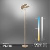 Paul Neuhaus PURE-MUTIL Uplighter LED Messing, 2-lichts