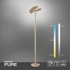 Paul Neuhaus PURE-MUTIL Uplighter Wit, 2-lichts