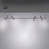 Paul Neuhaus PURE-TUTUA Hanglamp LED Zwart, 4-lichts