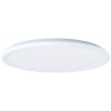Brilliant Saltery Plafondpaneel LED Wit, 1-licht, Afstandsbediening, Kleurwisselaar