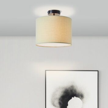 Brilliant Aike Plafondlamp Zwart, 1-licht