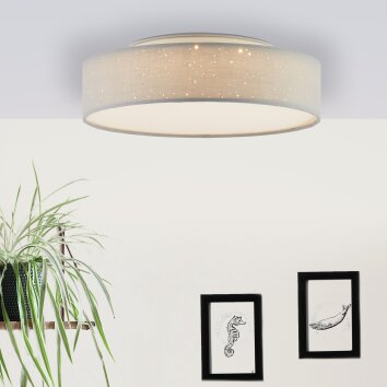 Brilliant Baska Plafondlamp LED Wit, 1-licht