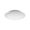 Paul Neuhaus Q-ARKTIS Plafondlamp LED Wit, 1-licht, Afstandsbediening, Kleurwisselaar