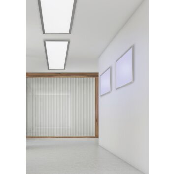 Trio WIZ GRIFFIN Plafondlamp LED Nikkel mat, 1-licht, Afstandsbediening, Kleurwisselaar