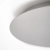 Escale BLADE Plafondlamp LED Zilver, 1-licht