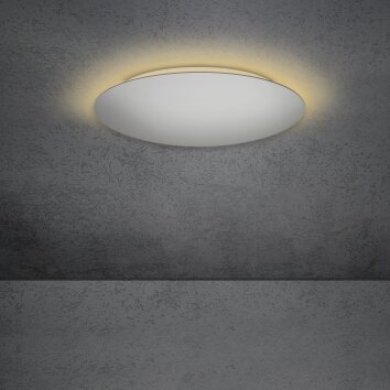 Escale BLADE Plafondlamp LED Zilver, 1-licht