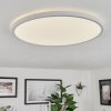 Folgares Plafondpaneel LED Wit, 1-licht