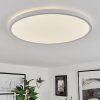 Folgares Plafondpaneel LED Wit, 1-licht